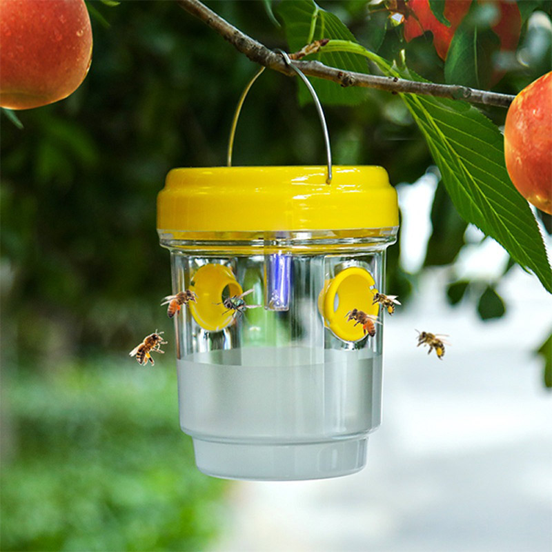 Outdoor Lighting Gazebo - Armadilhas Solares para Moscas de Frutas,