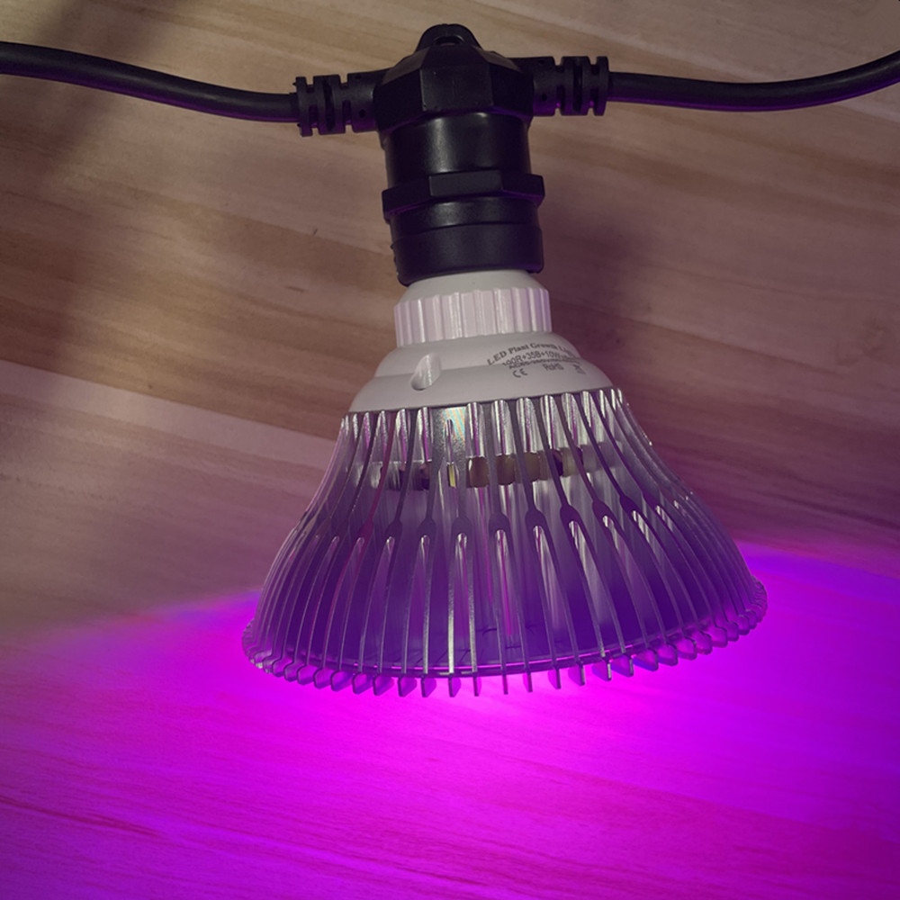 Cabo de LED de 10M à prova d'á - Outdoor Lighting Gazebo avaliação e preço